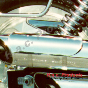 Exhaust shield